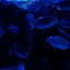 DSC08075