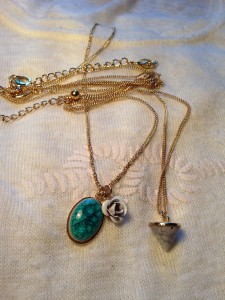 photo 4 (1)