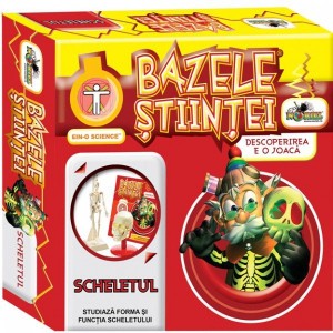 bazele-stiintei-scheletul